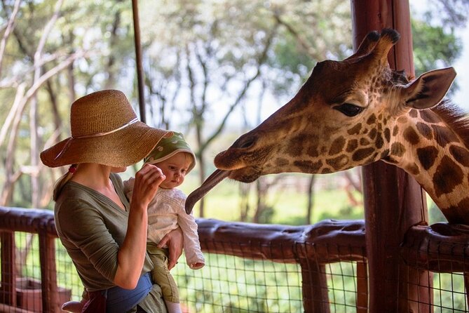 Private Tour To Giraffe Centre in Nairobi - Starting at 9:00 AM with private pickup