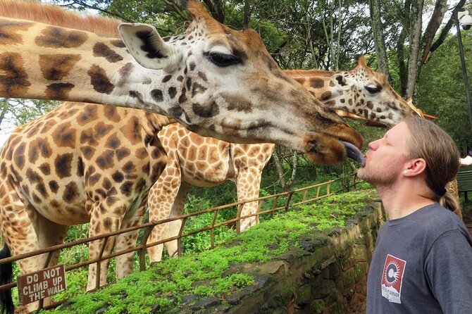 Private Tour To Giraffe Centre in Nairobi - Assessing the $60 price and extra fees