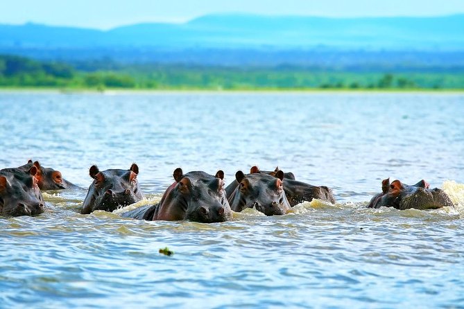 Private Tour to Mount Longonot and Optional Boat Ride on Lake Naivasha - Leaving Nairobi at 6:00 am for the Great Rift Valley