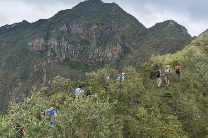 Private Tour to Mount Longonot and Optional Boat Ride on Lake Naivasha - The optional one-hour boat ride