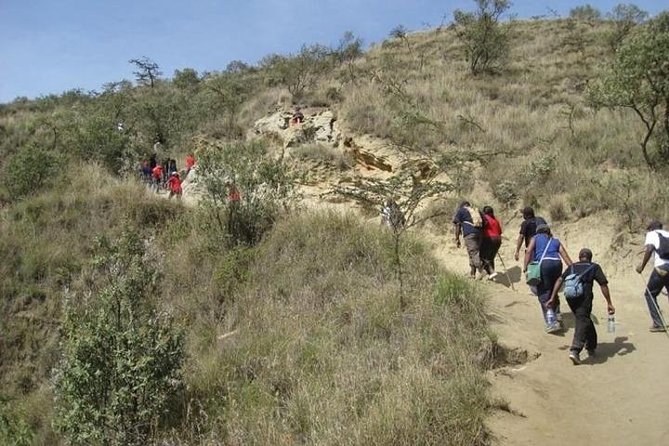 Private Tour to Mount Longonot and Optional Boat Ride on Lake Naivasha - Who will enjoy this day most