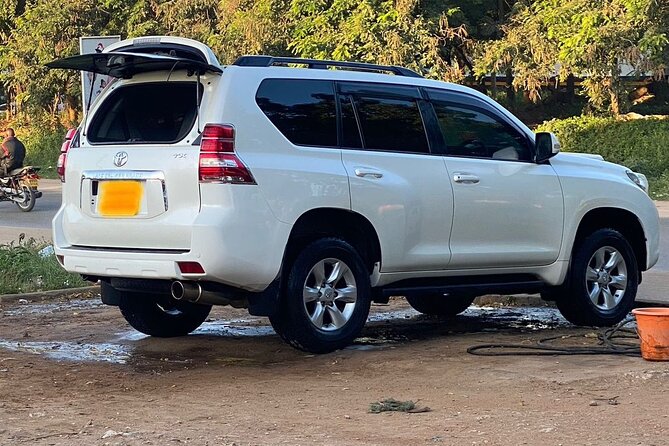 Private Transfer from Mombasa - The route is yours, not a fixed sightseeing program