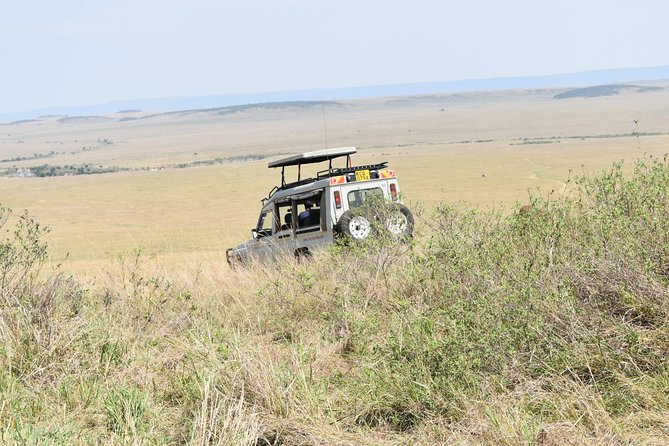 Private Transfer from Nairobi Airport or city To Maasai Mara By Road - Service quality and communication