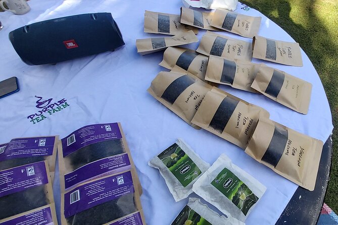 Purple Tea Farm Tour from Nairobi City - Specialty Tea Tasting - Picking leaves by hand in Gatanga
