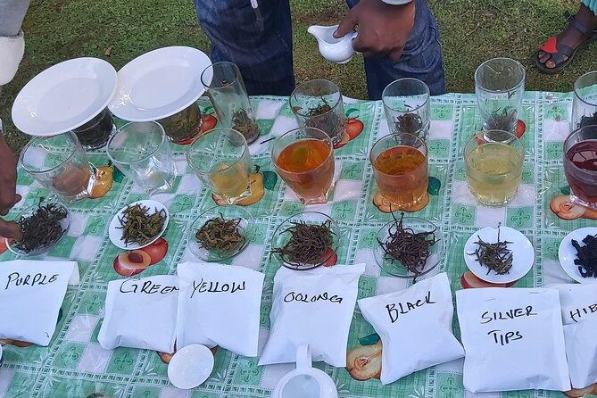 Purple Tea Farm Tour from Nairobi City - Specialty Tea Tasting - Buying tea straight from the farm area