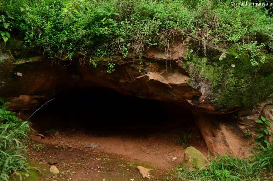 Rent A Local - Why a local guide changes Nairobi