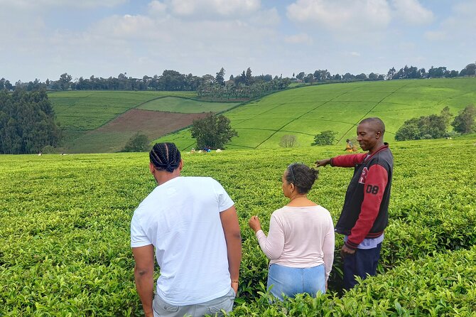 Riara tea farm tour with lunch and tea tasting from Nairobi - Key Points to Know Before You Go