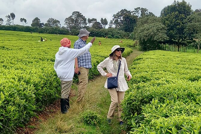 Riara tea farm tour with lunch and tea tasting from Nairobi - Lunch at the Farm