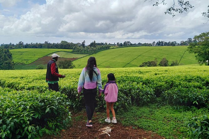 Riara tea farm tour with lunch and tea tasting from Nairobi - Who Will Enjoy This Most