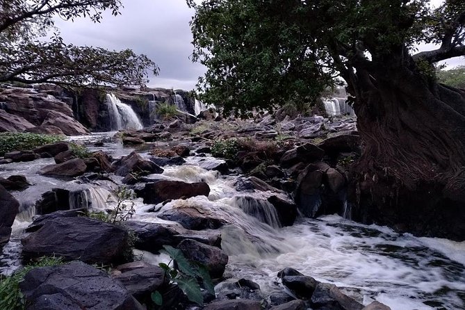 Road Drive to Fourteen Falls from Nairobi - Key points to know before you book