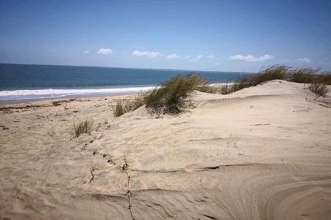 ROBINSON ISLAND/MARAFA HELL's KITCHEN - Who will enjoy this tour most?