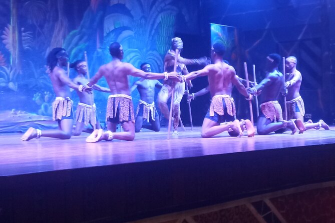 Safari Cat Dancers Show And Dinner - Who Will Enjoy This Evening Most?