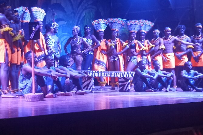 Safari Cat Dancers Show And Dinner - Practical Tips For A Better Night