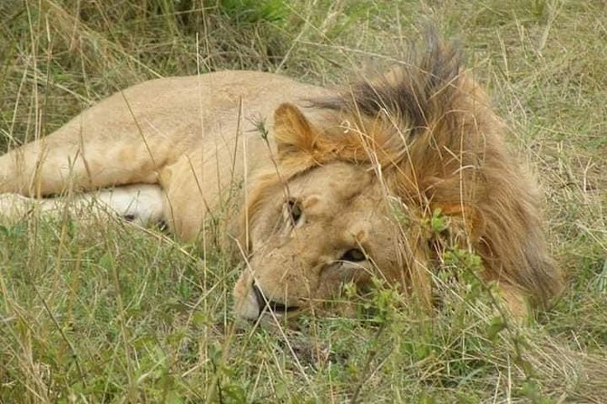Safari Kenya with Patrick - Is $418.12 per person good value?
