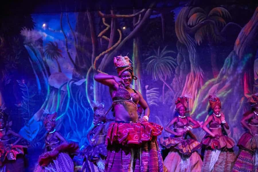 Safari Park Hotel Show & Dinner Experience In Nairobi Tour - What your three-hour Nairobi evening looks like
