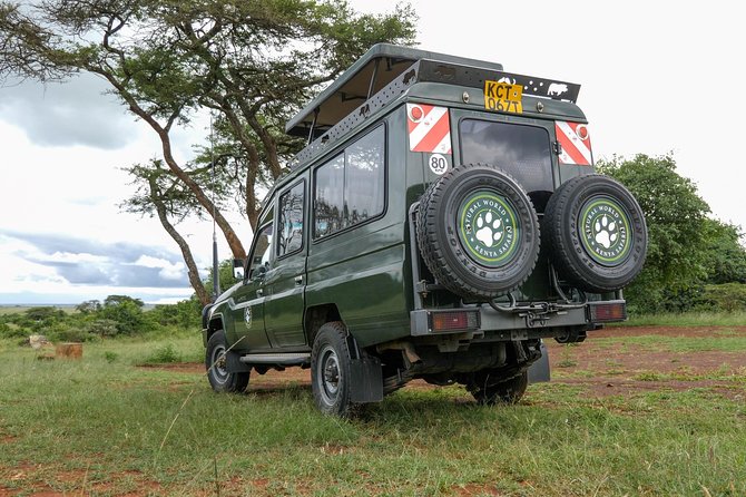 Samburu, Lake Nakuru & Masai Mara 6 Days Private 4x4 Jeep Safari - What the private Jeep setup changes