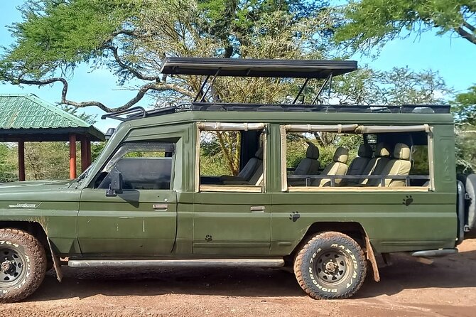 Shared Nairobi National Park Safari Tour - Small Group Comfort and Shared Safari Tradeoffs
