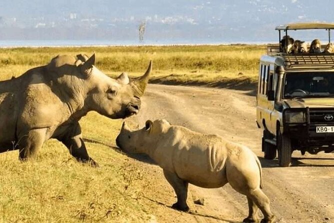 Shared Nairobi National Park Safari Tour - Early Pickup and the Ride Into the Park