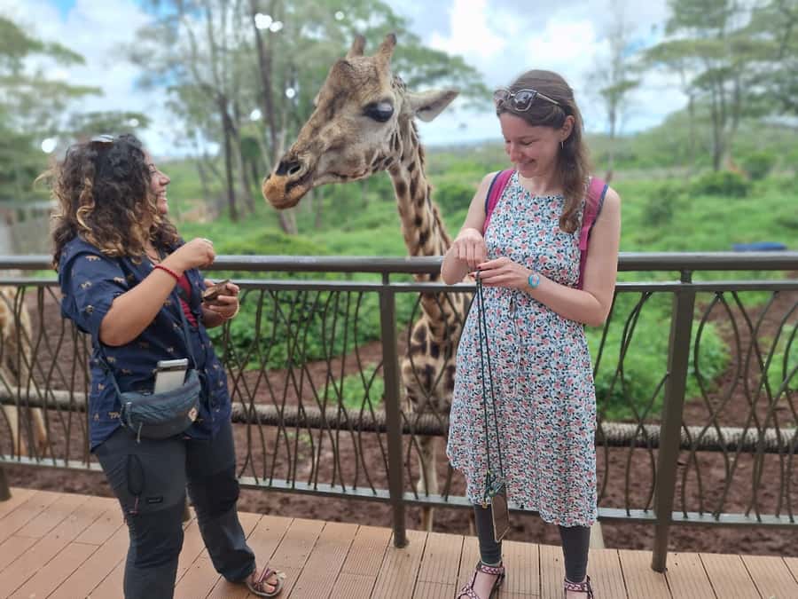 Sheldrick Wildlife Trust&Giraffe Center GuidedTour with FEES - Key points to know before booking