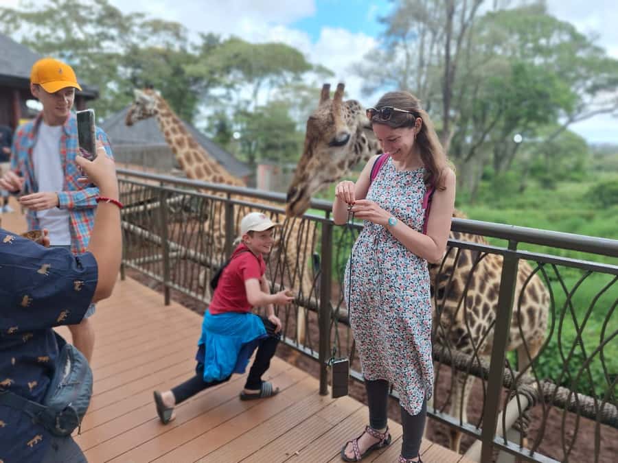 Sheldrick Wildlife Trust&Giraffe Center GuidedTour with FEES - Baby elephants at the Sheldrick Wildlife Trust