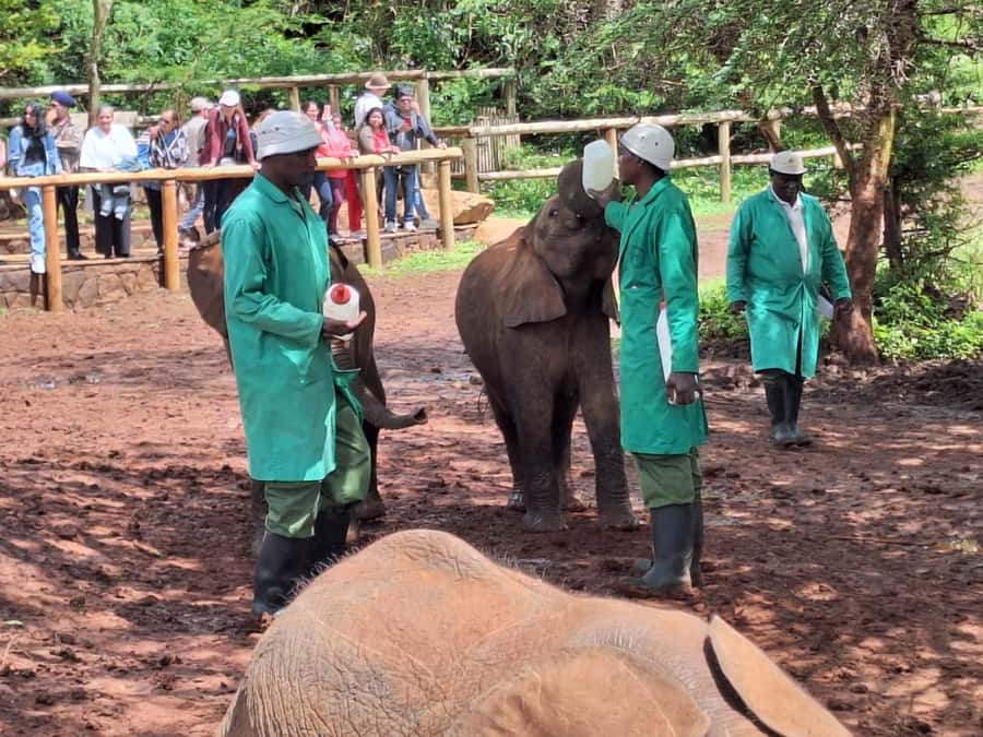 Sheldrick Wildlife Trust&Giraffe Center GuidedTour with FEES - Kobe Beads Factory adds a local craft stop