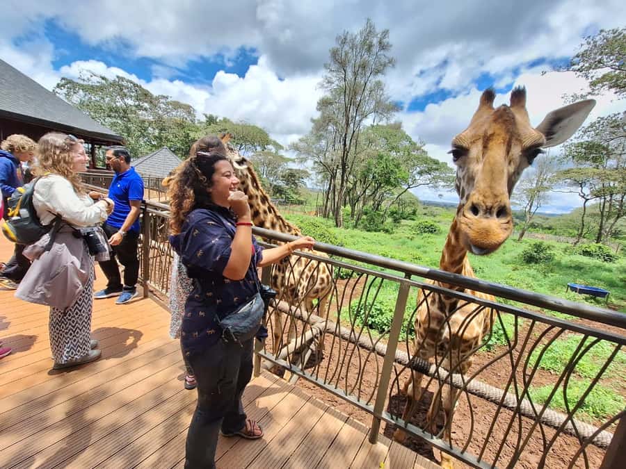 Sheldrick Wildlife Trust&Giraffe Center GuidedTour with FEES - Giraffe Centre: feeding Rothschild giraffes by hand