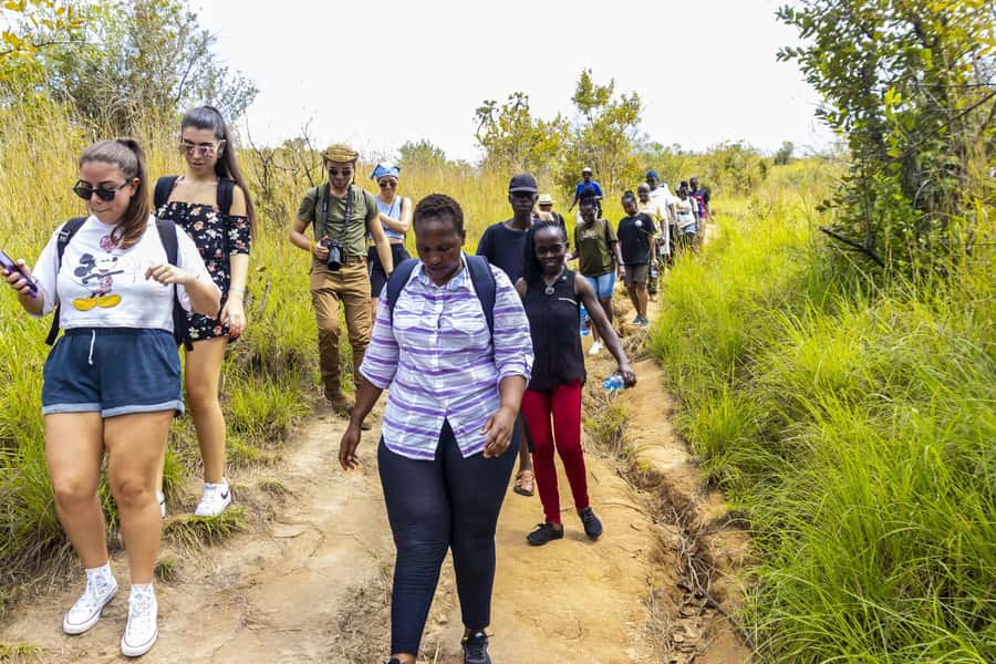Shimba Hills Day Safari & Sheldrick Falls Hike Private Tour - Two hours among Shimba Hills wildlife