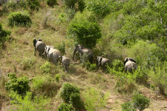 Shimba Hills Excursion - Lunch, drinks, and the extra-cost question