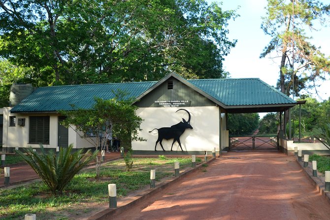 Shimba Hills Excursion - Why this works well for families