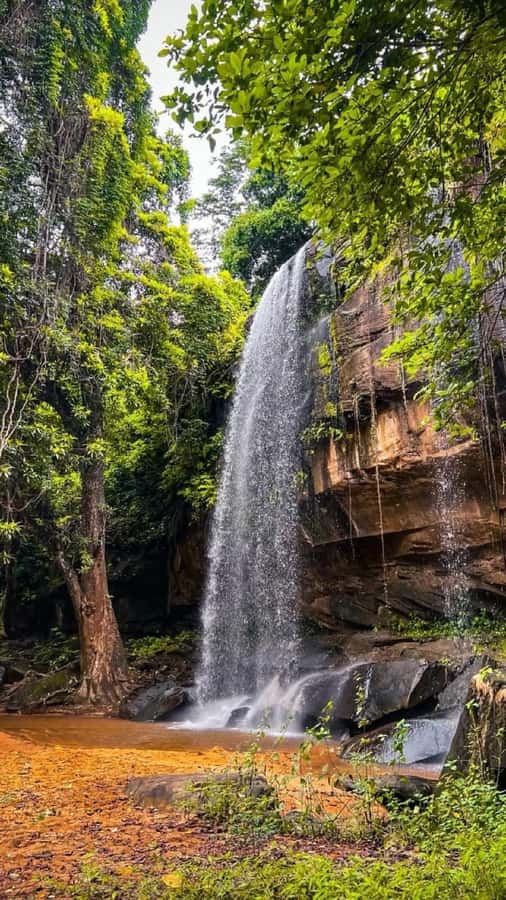 Shimba Hills: Game Drive, Waterfall Hike, and Lunch - Why Shimba Hills makes a good change from the coast