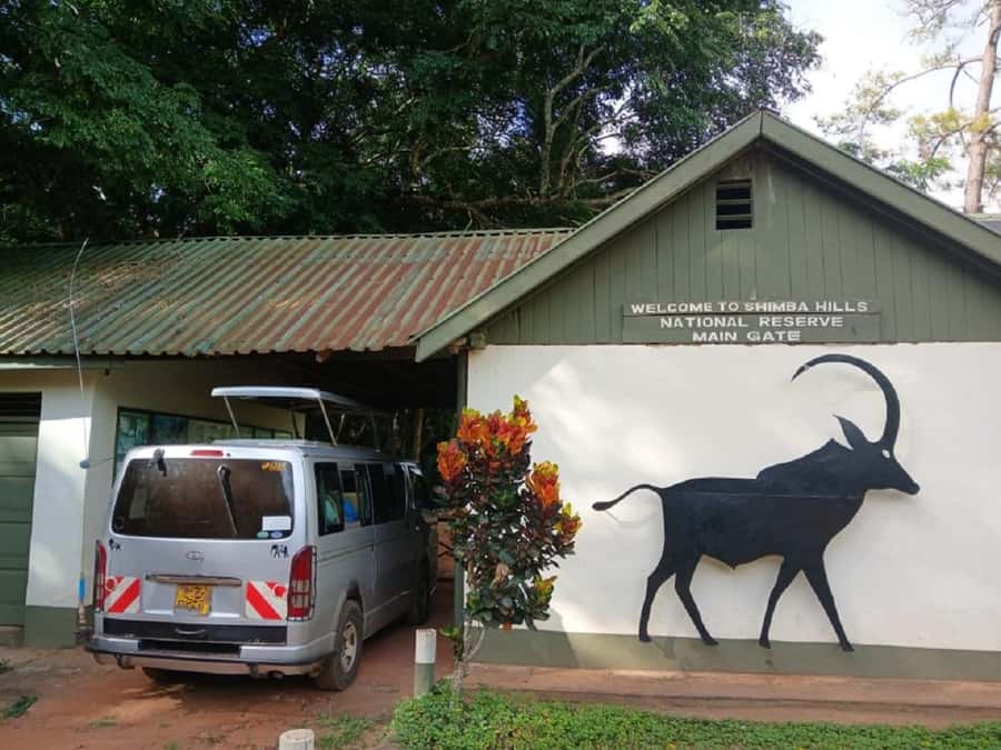 Shimba Hills: Game Drive, Waterfall Hike, and Lunch - Four hours inside Shimba Hills National Reserve