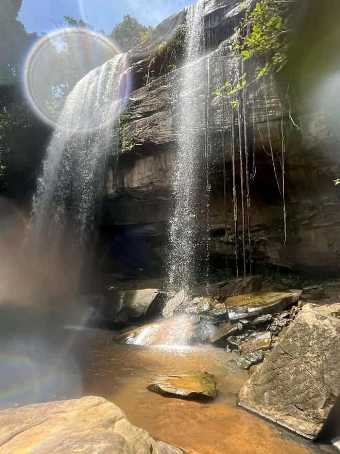 Shimba Hills: Game Drive, Waterfall Hike, and Lunch - The early drive from Diani Beach or Mombasa