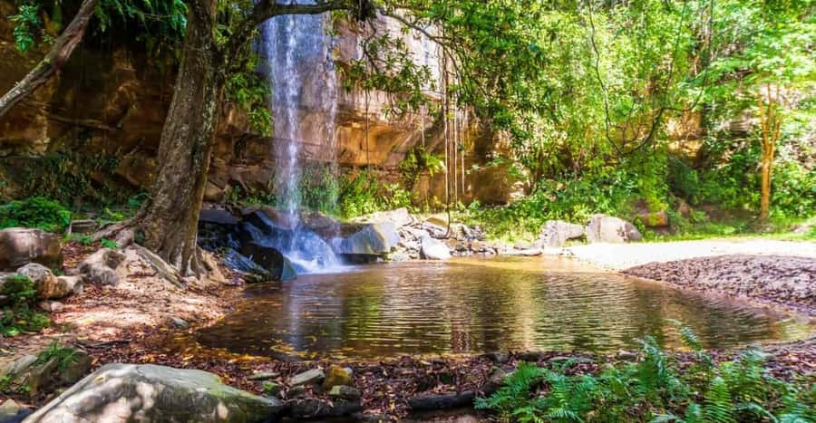 Shimba Hills Reserve Day Trip: From Mombasa and Diani - Why Shimba Hills makes a good coastal day trip