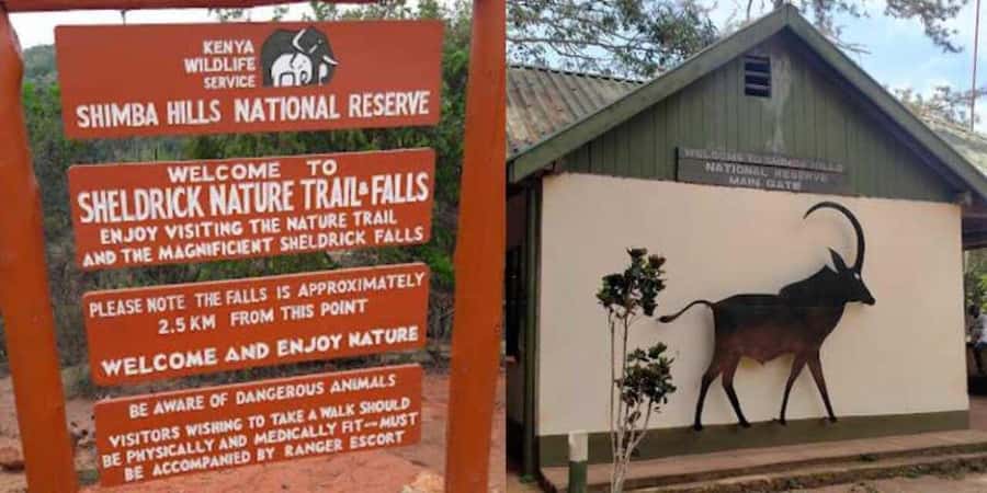 Shimba Hills Reserve Day Trip: From Mombasa and Diani - The first three-hour game drive