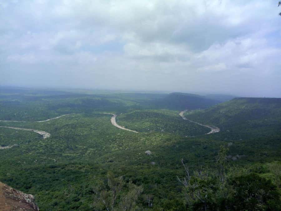 Shimba Hills Reserve Day Trip: From Mombasa and Diani - The early pickup from Diani or Mombasa