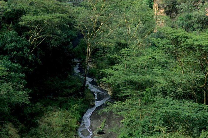 Small Group Budget Tour to Hells Gate National Park and Lake Naivasha Boat Ride - The guides and the human side of the outing