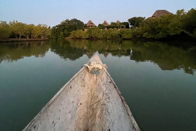 Sunset Canoe Tour on a River within the Mangroves - Learning the mangroves with Omari