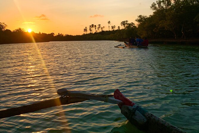 Sunset Canoe Tour on a River within the Mangroves - Who will enjoy this two-hour outing?