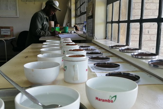 Tea Farm Experience at Riara Tea Farm And Factory Tour - Inside the tea factory