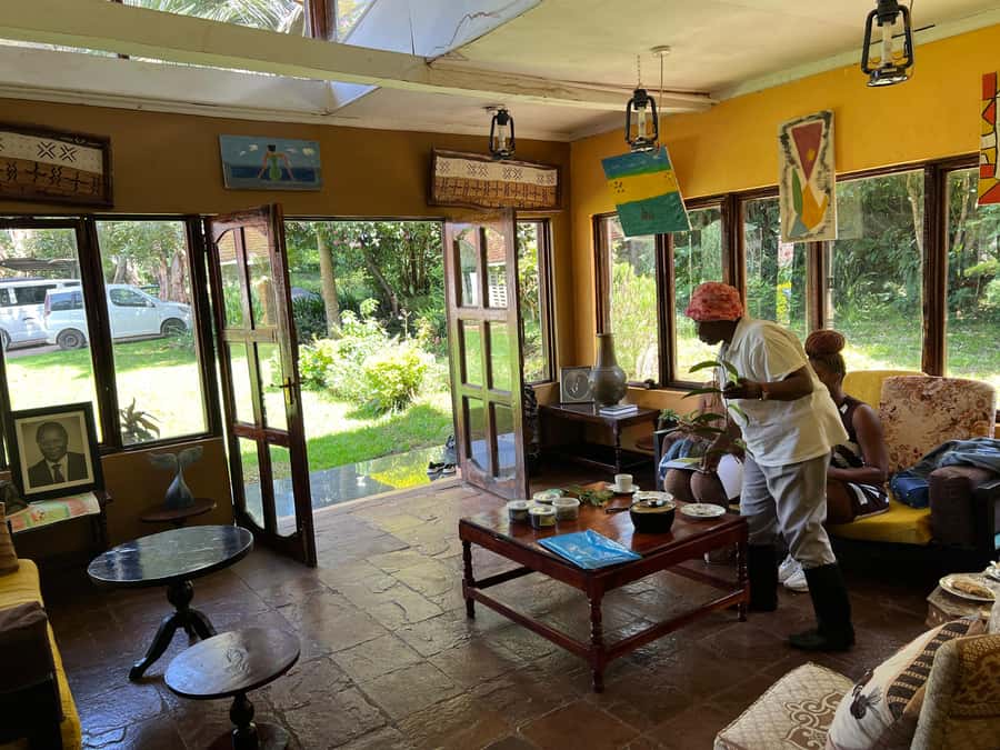 Tea Farm Experience at Riara Tea Farm And Factory Tour - Who will enjoy this tea farm experience?