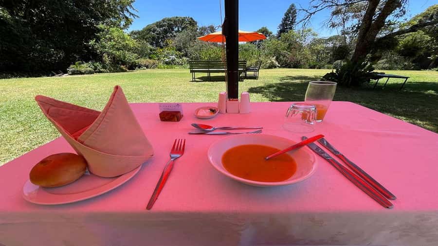 Tea Farm Tour From Nairobi (Kiambethu). - Leaving Nairobi for Limuru’s tea country