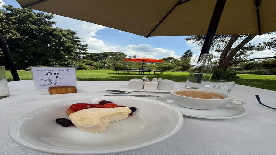 Tea Farm Tour From Nairobi (Kiambethu). - Timing, traffic, and the best day plan