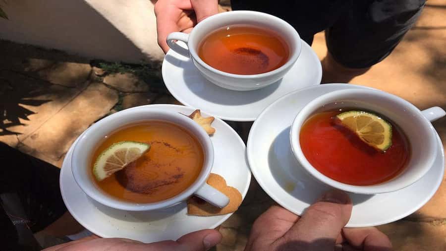 Tea Farm Tour From Nairobi (Kiambethu). - Starting with tea, coffee, and the farm story