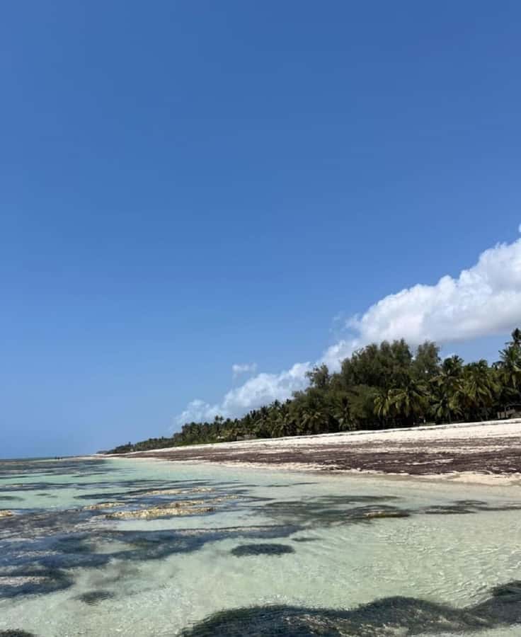 Tiwi Beach: Guided Tour to the African Pool - Leaving Diani Beach by tuk-tuk