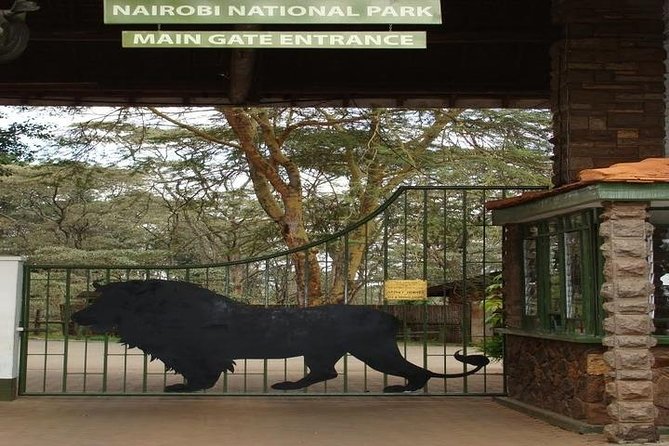 Tour: Giraffe Center and Nairobi National Park - Timing, traffic, and the eight-hour schedule