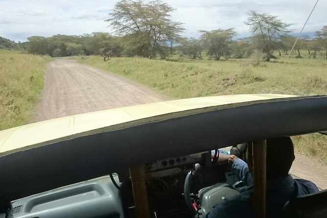 Tour Nairobi National Park - Key points at a glance
