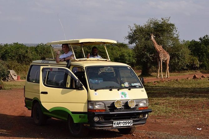 Tour Nairobi National Park - Wildlife expectations: giraffes, zebras, lions, and luck