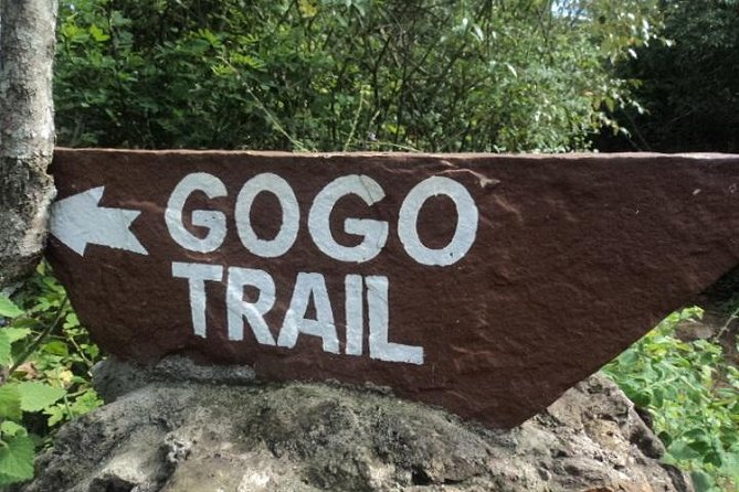 Tour to Giraffe Center from Nairobi - Optional lunch and what is not covered