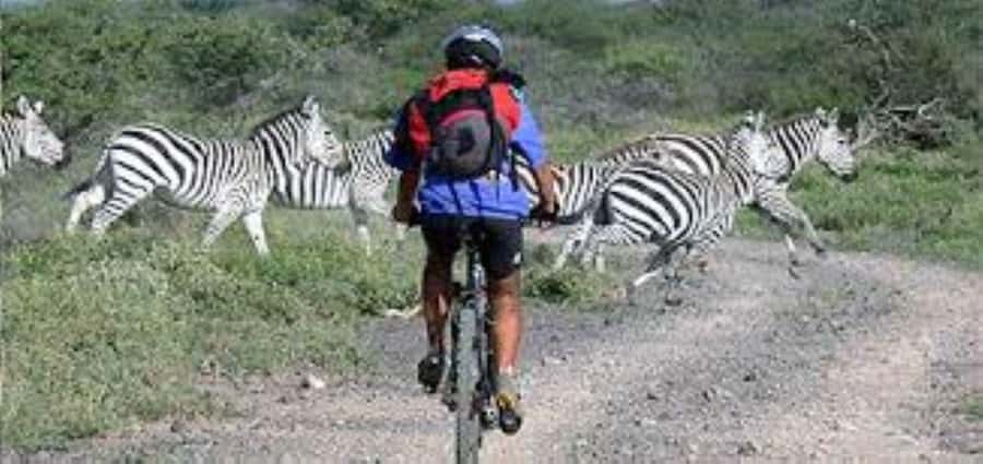 Tour to Hells Gate National Park and Lake Naivasha Boat Ride - Why Hell’s Gate feels different from a normal safari