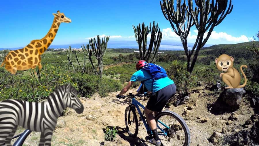 Tour to Hells Gate National Park and Lake Naivasha Boat Ride - Should you book the Hell’s Gate and Naivasha trip?